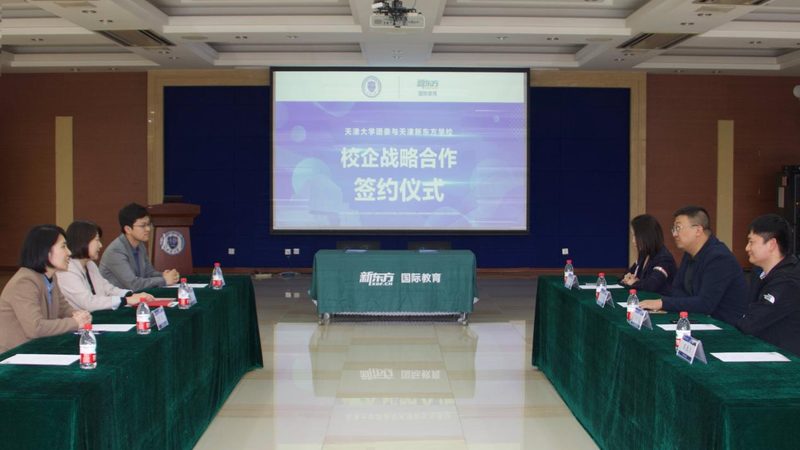 Scratch与少儿编程：探秘两者间的微妙差异